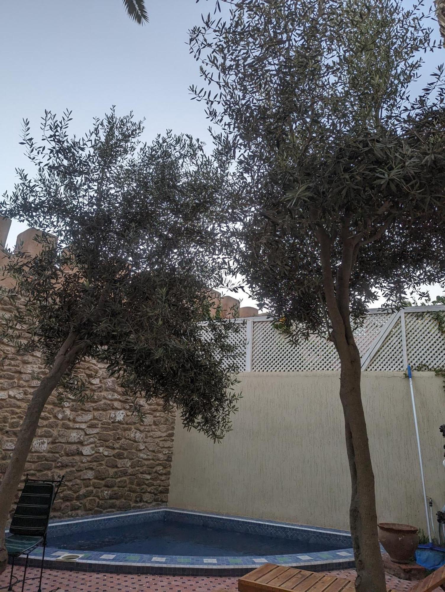 Aghata Palms Riad Essaouira Exterior foto